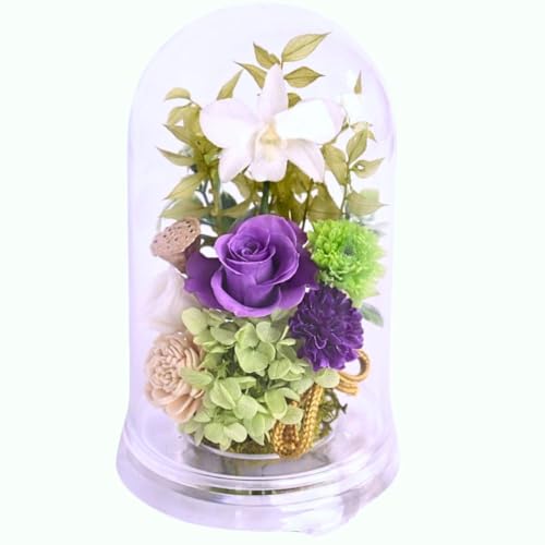 PURIZA ���Ԍ��� ������ ���d�p �v���U�[�u�h�t�����[�A�����W ���x���_�[ ���b�s���O�t�� ��ΑΉ��\ ���Ԏw��ok