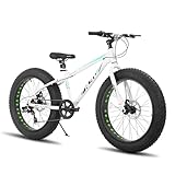 HH HILAND 26 Inch Fat Tire Mountain Bike for Men and Women, High Carbon Steel Frame Beach and Snow Wide Tire Adult Bicycle, 7-Speed and Dual-Disc Brake MTB White