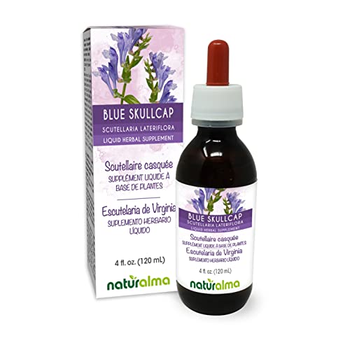 Naturalma Blue Skullcap or Virginian Skullcap (Scutellaria lateriflora) herb Alcohol-Free Tincture - 4 fl oz Liquid Extract in Drops - Herbal Supplement - Vegan