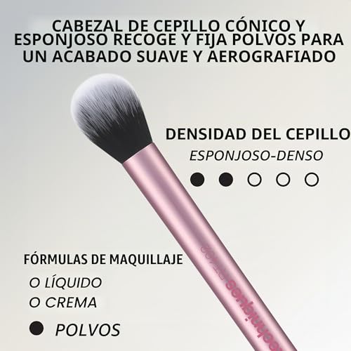 Miniatura 6 de Real Techniques Kit de esponjas de maquillaje Everyday Essentials, 4 brochas de maquillaje y 2 esponjas mezcladoras de maquillaje, para base, colorete, bronceador, juego de 6 piezas