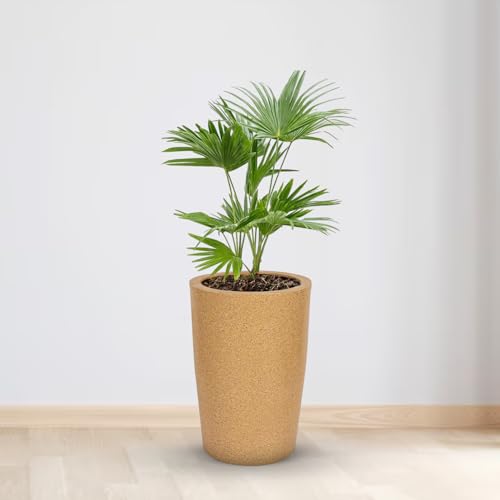 Image of BonKaso 18 inch Beige Pot - Tall, Durable & Lightweight Polymer Round Tower Planter for Indoor & Outdoor Use: Home, Office, Garden & Balcony (Gamla /Gamale)