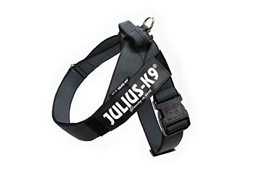 Julius-K9, IDC® Color & Gray® Beltgeschirr