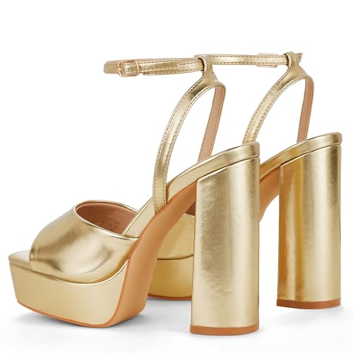 Elisabet Tang Chunky Heeled Platform Sandals for Women,4.7 Inch Block Heels with Open Toe Ankle Strap, Dress Shoes for Wedding Party Homecoming Travel2