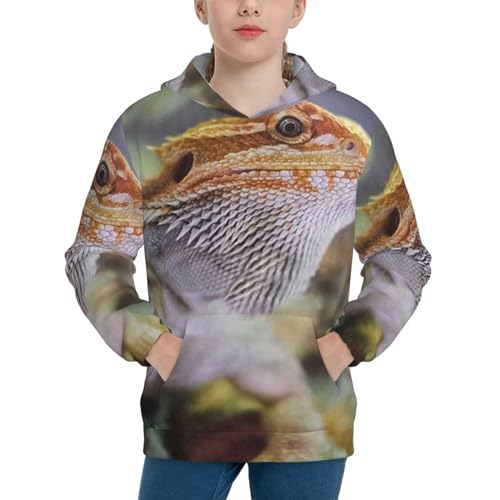 Dragon Lizard Boy, Girls Sports Shirt Youth Pullover Fashion Hooded Sweatshirt3