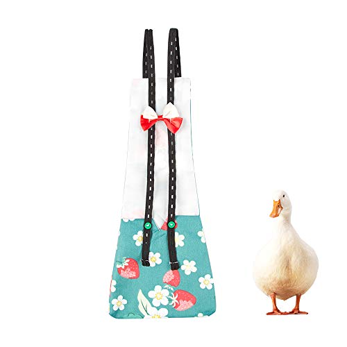 Top 3 Chicken Diapers For Your Chickens (2023 Buyer's Guide)