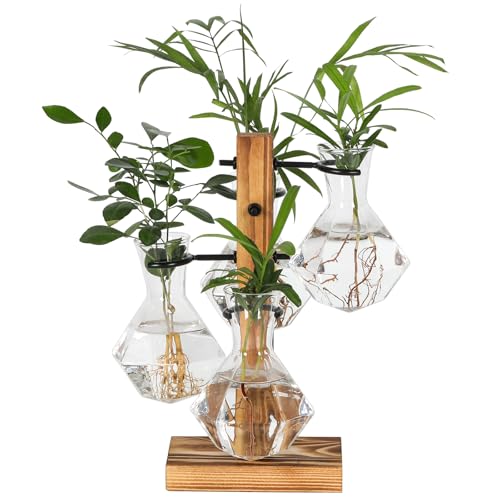 PAG-Mass Kit de terrários para plantadores, suporte hidropônico de mesa, estação de propagação de pl