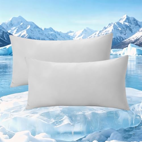 Soifox Kühlender Kissenbezug 2er Set - 40x80 Kopfkissenbezug mit Q-Max>0.45 Arc-Chill Atmungsaktiv und Weiche Kissenbezüge mit Reißverschluss Cooling Pillowcases Schont Haut und Haar Grau