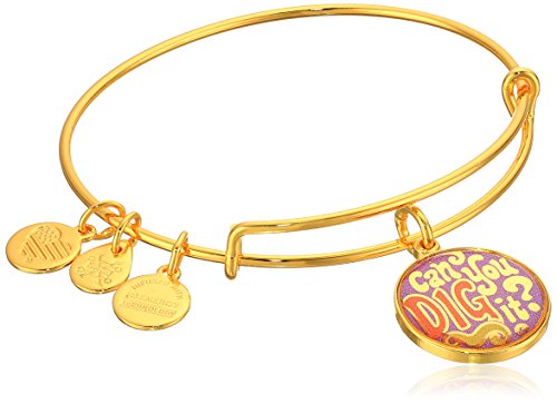 Alex and Ani Words are Powerful, Can You Dig It EWB Shiny Gold Bangle Bracelet