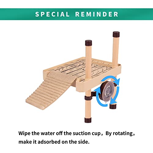 Reptile Growth Glass Turtle Aquarium Kit thumb #5