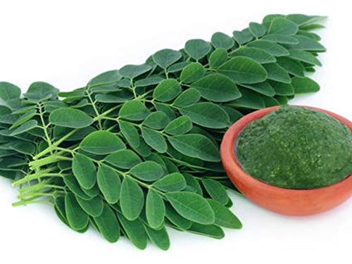 Natura Premium, Aceite Moringa - 30 ml. ECOLOGICO