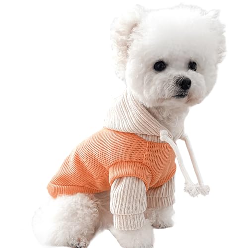 IUOUTG _炩Ȍ̃t[fBXEF[^[Aċz\ȒgybgR[g̃XEF[cVc̖Xq̉gL̈ߑ̎q̎qL̈ߑ