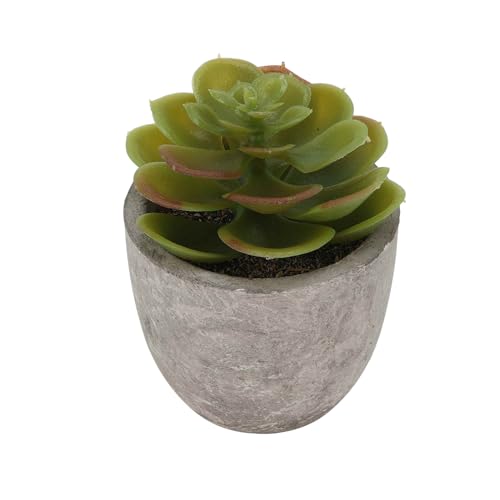 KJOET tFCNO[ CeAO[ A lH bsv  ~j A  킢  fXN oX[ Lb` Type 2