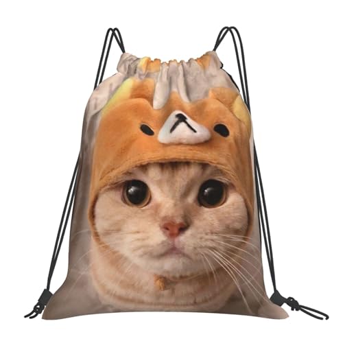 [Raysent] �i�b�v�T�b�N �L�� �v�[���o�b�O ���j�o�b�O �o�b�O ��e�� �y�� ���[�֗� ������� ���j ���� �^�� �ʊw �A�E�g�h�A ���s �j�����p 42cm X 36cm