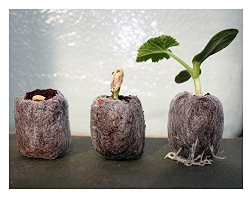 Torba Jiffy 7 24 mm x 45 mm/compost Plug pellet x