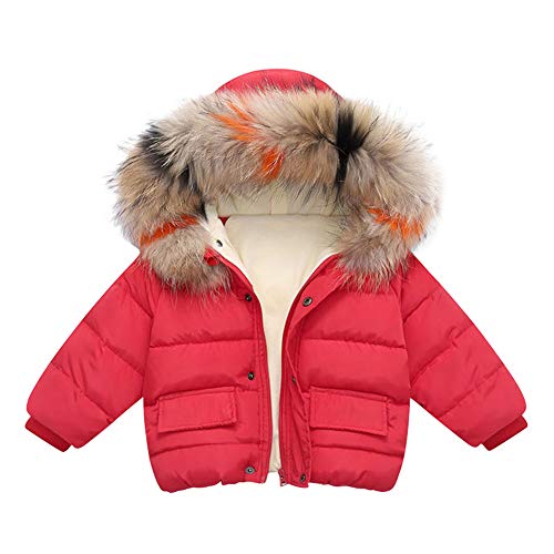 Toddler Baby Light Puffer Plush Hooded Down Jacket Coat Zipper Winter Windproof Thicken Fleece Warm Outwear for Boys Girls Alternative Hoods Lightweight Snowsuit Kids Hoody Raincoat Red 4-5T