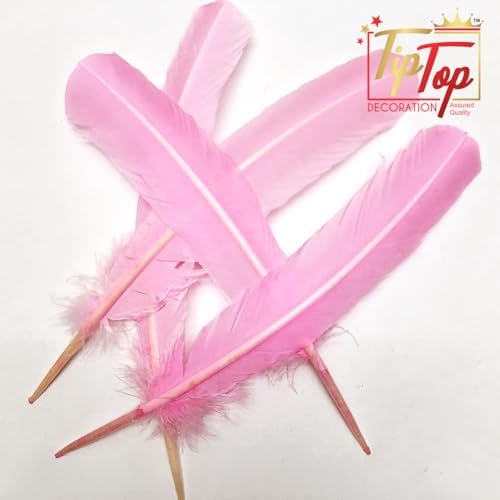 Image of Natural Dyed Goose Quills 12-14 Inch (5 Pieces) (Bubblegum Pink)