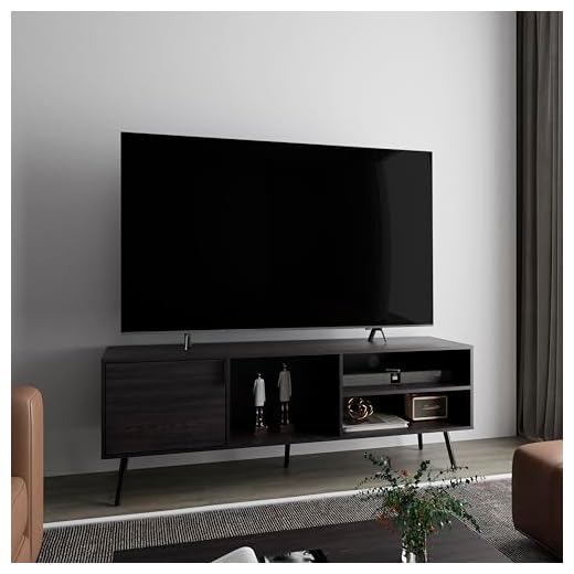 Modern Black TV Stand with Storage Shelves