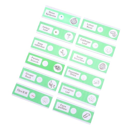 HEALLILY Science Lab Slides 12pcs Vegetable Sample Prepared Microscope Slides for Boys and Girls