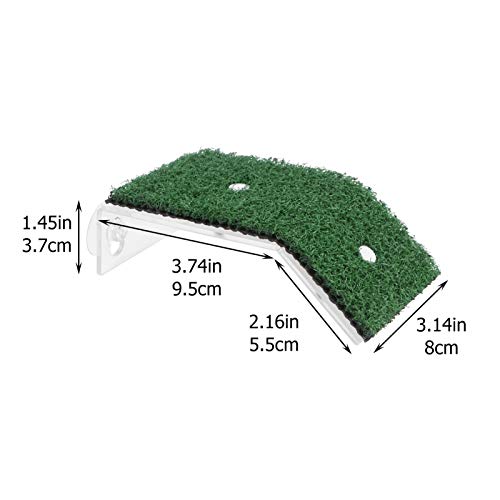 ibasenice Ramp- Plataforma Plataforma de Secagem Simulado Gramado Paisagismo Tartaruga Tartaruga Tar