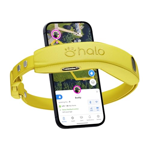 Halo Collar 4, GPS Wireless Dog Fence & Dog Training Collar with GPS Tracker, Subscription Required, Waterproof, Sunburst, One Size