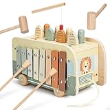 Vanplay モンテッソーリ 知育玩具 おもちゃ 男の子 女の子 1 2 3歳 誕生日プレゼント ハンマートイ 指先の知育 モンテッソーリ教具 早期開発 指先訓練 出産祝い 入園お祝い プレゼント