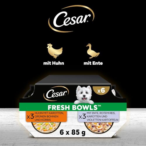 Cesar Schale gemischte Auswahl in Soße 4 x 6 x 85 g