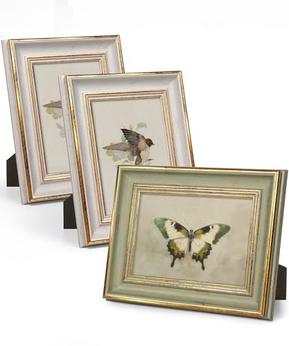 Discover the Top Vintage Picture Frames Set Of 3 Products For All Your Needs