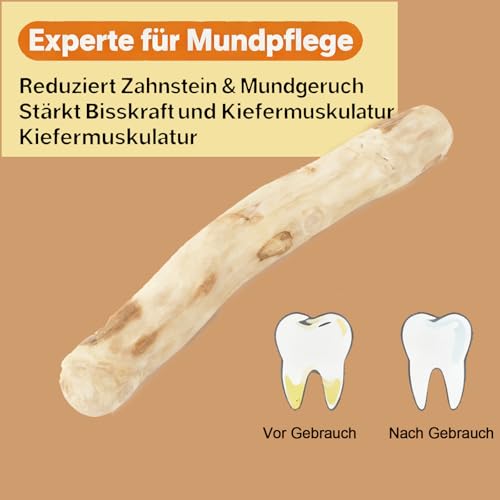 Soiftra 3 Stück Kaffeeholz für Hunde,Zahnreinigung Kauholz für Kleine und Mittlere,Robuster Kauknochen,Kaffeeholz für Welpen,Natürliches Kauholz(14cm Länge, 1.8-2cm Durchmesser)