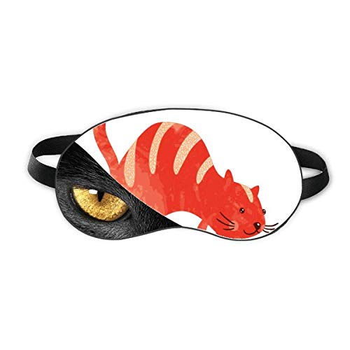 �Ԃ̏Ί�̑������L�̓����̐��ʉ� �x�ݖڂ̎Ռ����e���