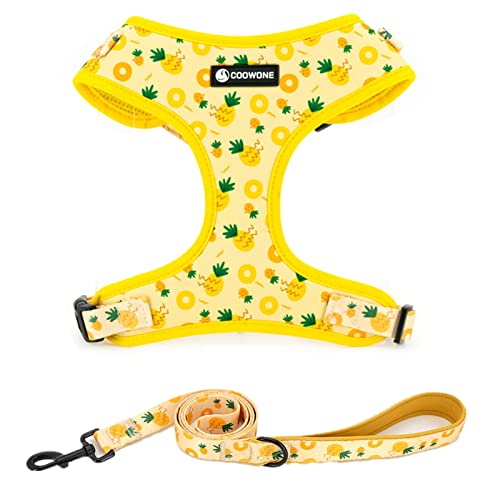 Comparison of Best Patterned Dog Harness Top Picks 2023 Reviews