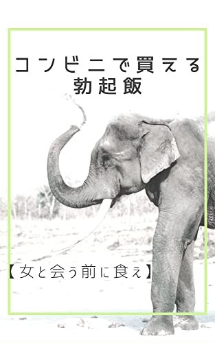 コンビニで買える勃起飯