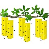 Fullsexy 6 Stück Fliegenfänger Hängende Fliegenfallen-Klebebrett Schützen Sie Pflanzen Gegen Fliegen Insekten Mücken, Dreiseitiger Fliegenfänger für den Außen- und Innenbereich MEHRWEG