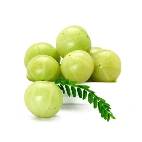 Golden Bloom Original Grafted Thai Green Amla Live Plant Sweet Banaras Amla Variety Amlaki Fruit Grafted Live Plants & Tree(1 Feet Size) (B0CVHVSMHV) Amazon Price History, Amazon Price Tracker