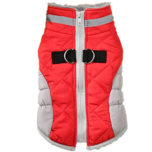 AttRex pR[g WPbg H~ ybg  킢 N wJ hbOEFA p[J[ n[lX g h ^ ^ ȕAE^[ o U (M,bh)