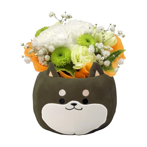 Ԃ̃Mtg  ybg       ~  ybgp