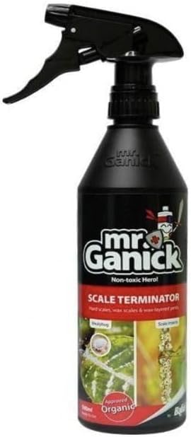 Mr. Ganick Organic Mealybug And Scale Terminator Spray 500ml ORGANIC REPELLENT