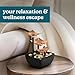 Homedics Golden Dew Relaxation Tabletop Water Fountain with 3 Tiers, Natural River Rocks, and a Quiet Pump for Soothing Zen Ambiance in Your Home or for Office Décor, Powered by 2 AA Batteries