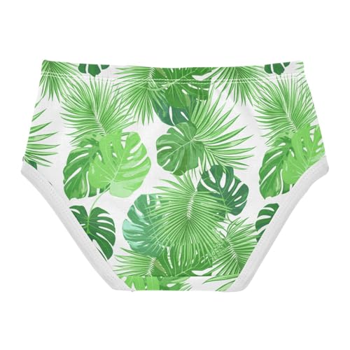 Tropical Monstera Palm Leaves Toddler Girls's Underwear 2T 202c19062