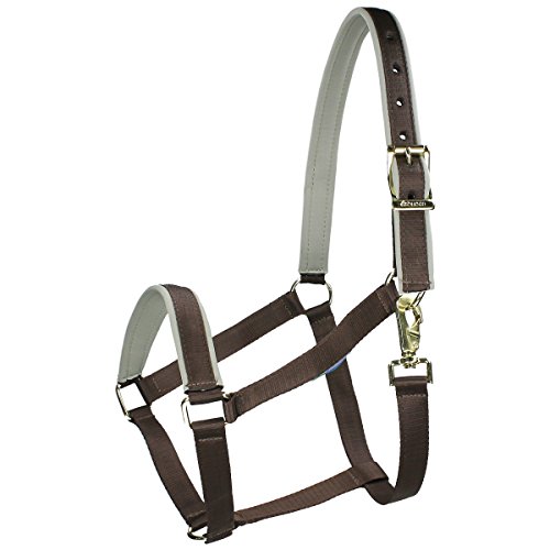 Collar para la cabeza Bucas Dublin plateado de alta resistencia para pony
