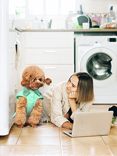 Topkins Dog Dress, Cute Puppy Dress For Small Medium Dogs Girl, Dog Polo Shirts Dress With Pleated Hem, Dog Summer Dress Dog Birthday Dress Suitable For Spring, Summer, Autumn (Mint Green, Xs) #TOP4