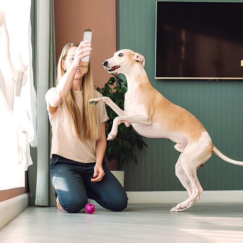 Riceel Interactive Dog Toy, Dog Toy Squeaky with a Box