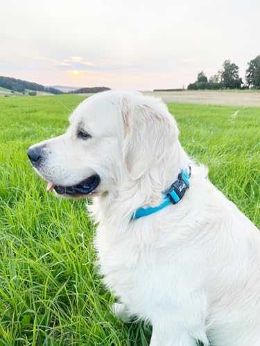 Fumiko® Hundehalsband aus Biothane versch.größen (Sam´s Blue, S)