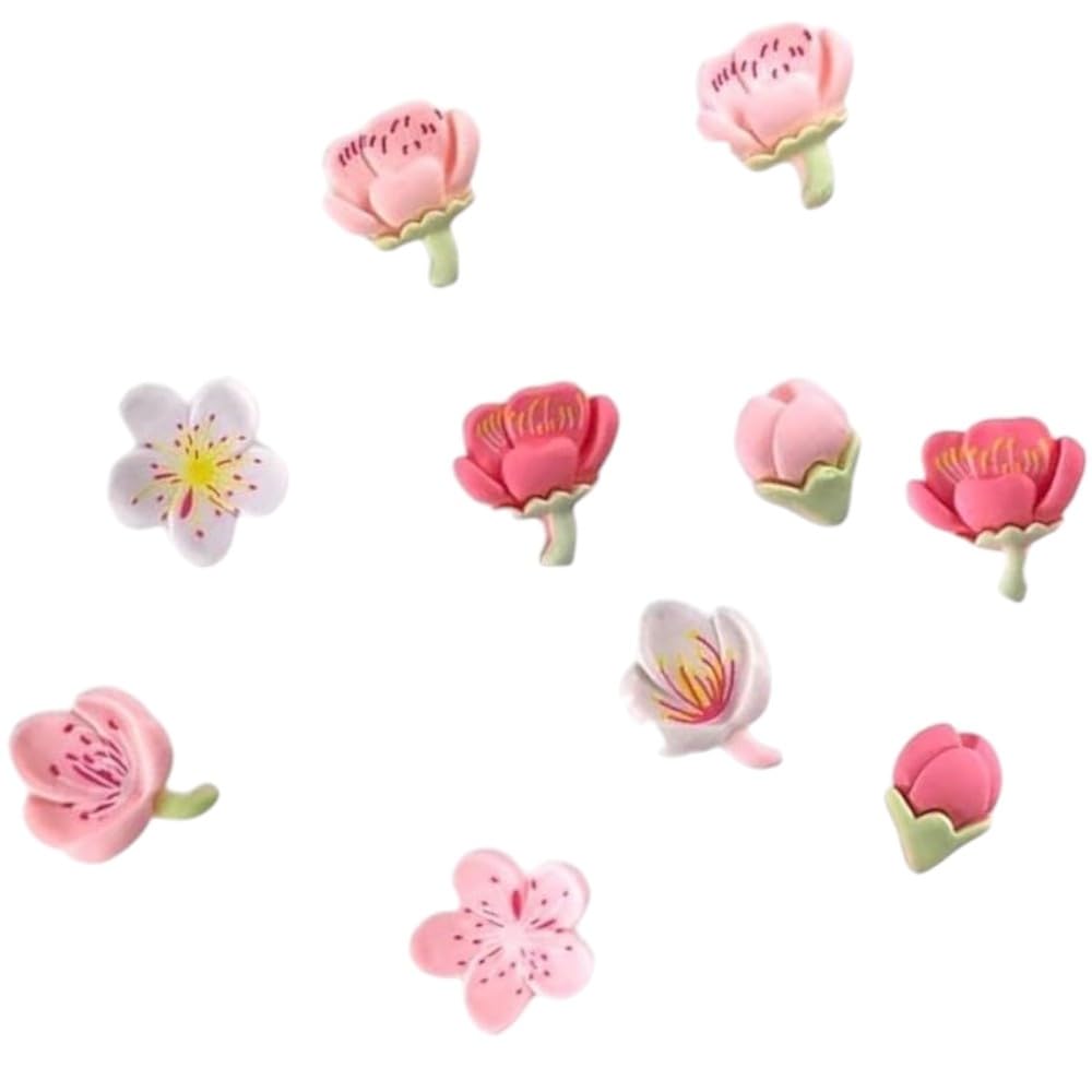 Amazon.co.jp: ポップ 桜 フラワー クロックス 用 シュー