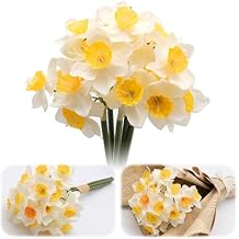6 Stems Daffodils زهور اصطناعية ، 15 بوصة أزهار اصطناعية تبدو حقيقية ، باقة Faux Daffodil بيضاء ، زهور نرجس مزيفة للمنزل ترتيب الأزهار ، ديكور حفلات الزفاف