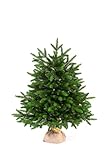eveXmas 65cm Künstlicher Weihnachtsbaum, Tannenbaum Onyx Klassik Grün, 67 Zweige 100% PE-Spitzen, inklusive ständer sackleinen