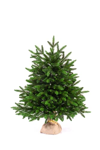 eveXmas Árbol de Navidad artificial, 65 cm, árbol de Navidad ónix, verde clásico, 67 ramas, 100% puntas de polietileno, incluye soporte de cuerda Cover