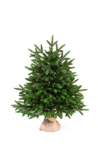 eveXmas Sapin de Noël Artificiel 65 cm Onyx Vert Classique 67 Branches 100% polyéthylène Pointes avec Support en Toile