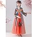 Girls Hanfu Dress Ancient Chinese Traditional Dress Hand Embroidered Daily Dance Performance Wear Orange (3-14 Years)