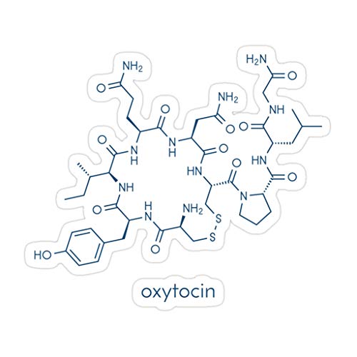 Okumahome 3 PCs Stickers Oxytocin Hormone Molecule. Skeletal Formula. 3×4 Inch Die-Cut Wall