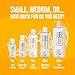 LubeLife Water-Based Lube – Personal Lubricant for Men, Women & Couples, Travel Size, Non-Staining, Easy Clean-Up, Toy-Safe, 12 Fl Oz